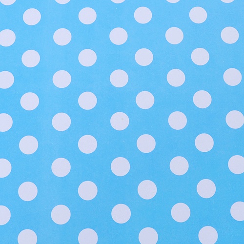  �����-��ī�̺���( 50��)